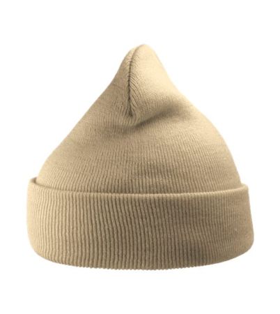 Atlantis Headwear Sustainable 12" Knit Beanie WIND