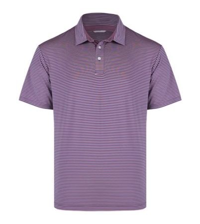 Swannies Men's Smith Striped Polo SW1110